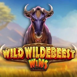 Play the Wild Wildebeest Wins slot by Pragmatic Play on Spinsy Casino